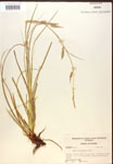 000017164-thumbnail.jpg