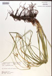 000017165-thumbnail.jpg