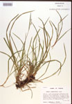 000017213-thumbnail.jpg