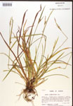 000017214-thumbnail.jpg