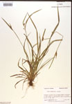 000017215-thumbnail.jpg