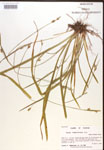 000017216-thumbnail.jpg
