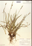 000017217-thumbnail.jpg
