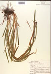 000017218-thumbnail.jpg