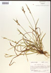 000017219-thumbnail.jpg