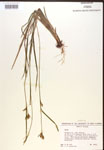 000017220-thumbnail.jpg