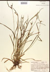 000017222-thumbnail.jpg