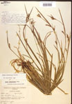 000017223-thumbnail.jpg