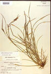 000017224-thumbnail.jpg