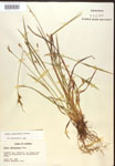000017226-thumbnail.jpg