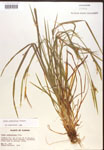 000017227-thumbnail.jpg