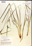 000017228-thumbnail.jpg