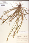 000017229-thumbnail.jpg
