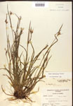000017230-thumbnail.jpg
