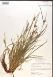 000017231-thumbnail.jpg