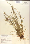 000017234-thumbnail.jpg