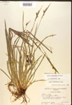 000017235-thumbnail.jpg