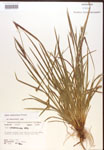 000017240-thumbnail.jpg