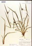000017241-thumbnail.jpg