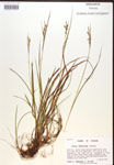 000017259-thumbnail.jpg