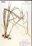 000017260-thumbnail.jpg