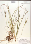 000017261-thumbnail.jpg