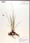 000017263-thumbnail.jpg