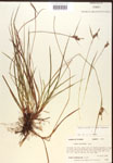 000017265-thumbnail.jpg