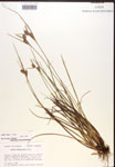 000017266-thumbnail.jpg