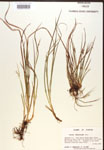 000017269-thumbnail.jpg