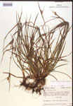 000017271-thumbnail.jpg