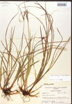 000017273-thumbnail.jpg