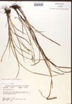 000017274-thumbnail.jpg
