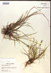 000017275-thumbnail.jpg