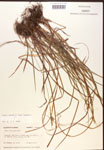 000017276-thumbnail.jpg