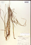 000017279-thumbnail.jpg