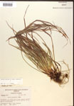 000017280-thumbnail.jpg
