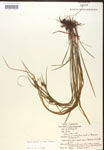 000017282-thumbnail.jpg