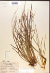 000017283-thumbnail.jpg