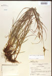 000017285-thumbnail.jpg