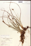 000017287-thumbnail.jpg
