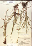 000017288-thumbnail.jpg
