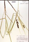 000017308-thumbnail.jpg
