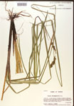 000017309-thumbnail.jpg
