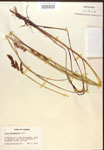 000017310-thumbnail.jpg
