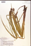 000017311-thumbnail.jpg