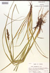 000017313-thumbnail.jpg