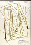 000017314-thumbnail.jpg