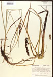 000017315-thumbnail.jpg