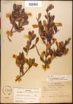 000017333-thumbnail.jpg